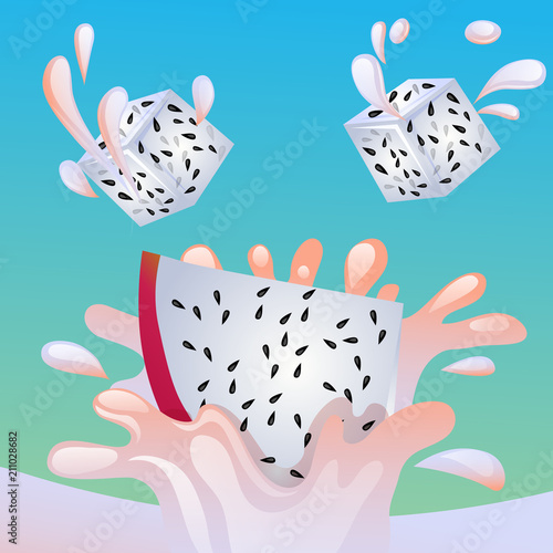 dragon fruit splash vector
