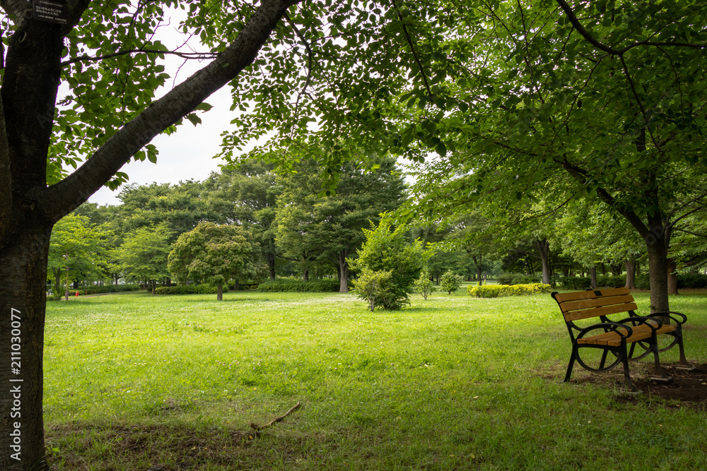 Landscape of Toneri Park in Tokyo / Toneri park is a public park in Tokyo
