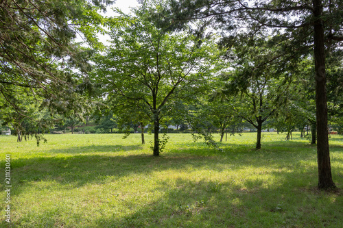 Landscape of Toneri Park in Tokyo / Toneri park is a public park in Tokyo