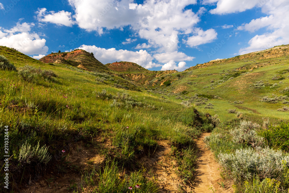 The rollings of hills of Theodore Roosevelt National Park