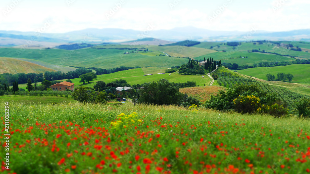 Famous Tuscany landscape, Val d'Orcia, Italy