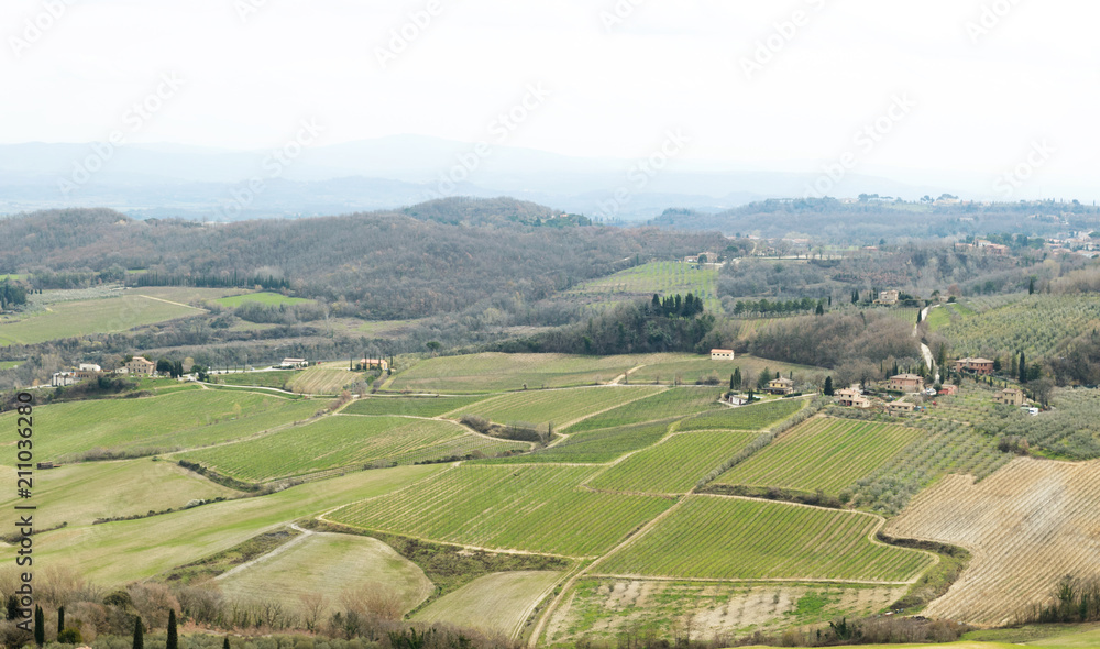 aerial view of vineyards landscape of tuscany, Italy