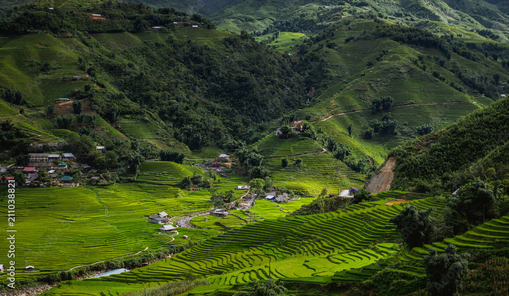 View of mountain with rice terrace in Sapa Vietnam. View of mountain with rice terrace in Sapa Vietnam.