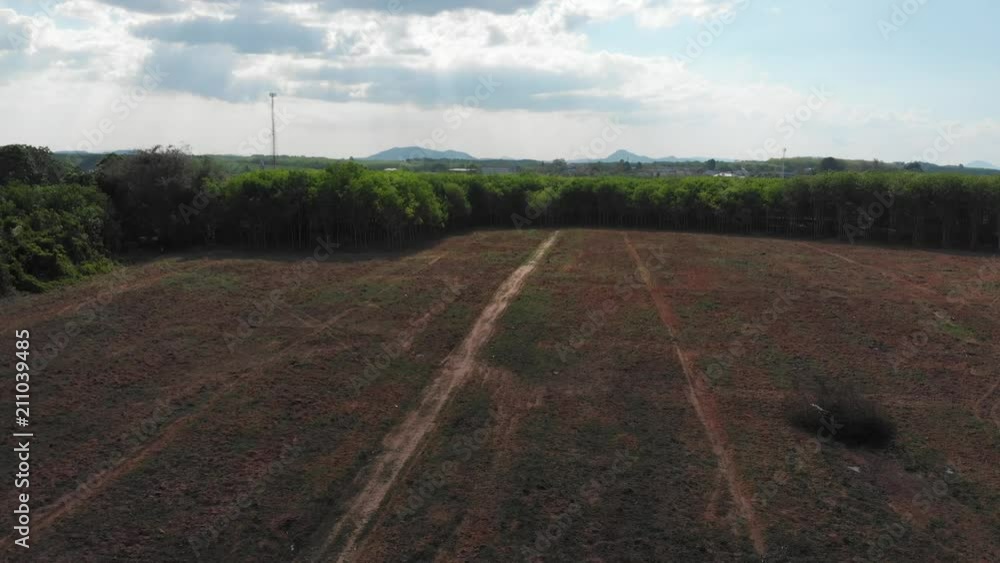Aerial view of empty land with lead line road and new planting concept Aerial view of empty land with lead line road and new planting concept