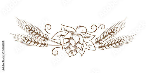 Vector hop cones with leafs and wheat outline illustration Vintage line art, floral sketch, For oktoberfest or thanksgiving day
