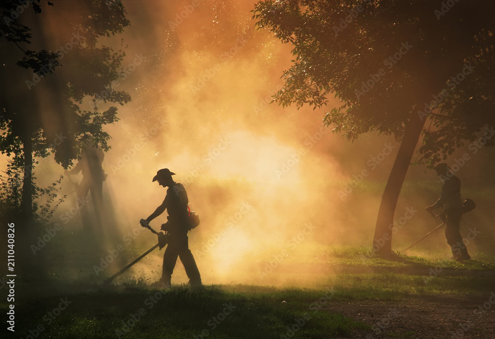 Grass cutter people 2025