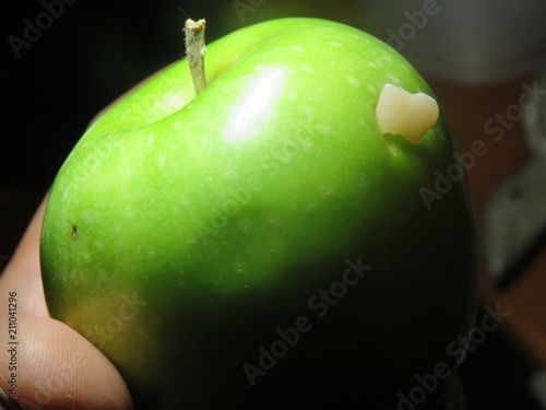 lost tooth in green apple