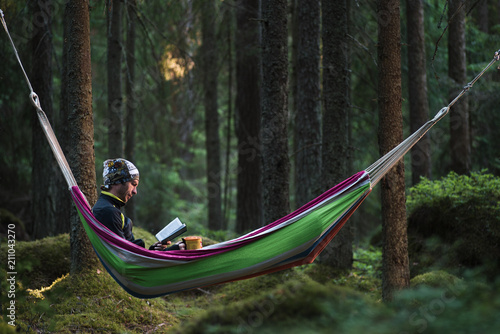 A man sitting in a hammock in a pine forest and reading a book photo