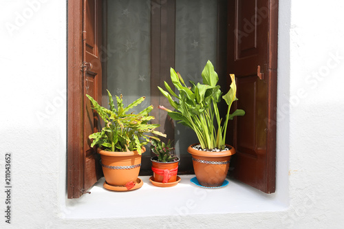 Pots with flowers on the window, on the streets of Lindos, Rhodes, Greece © Kristina