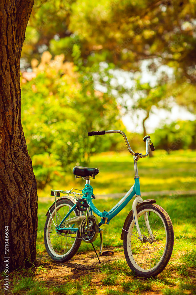 bicycle near a tree in the park, healthy lifestyle, summer