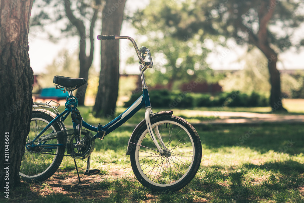 Fototapeta premium bicycle near a tree in the park, healthy lifestyle, summer