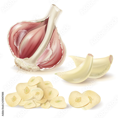 Vector realistic set with half head of garlic, peeled cloves and chopped slices, isolated on white background. Natural organic vegetable, spicy aromatic condiment, ingredient for eating and cooking