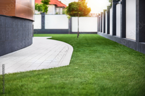 Foto Beautiful view on cute backyard in sunny day, fresh green grass lawn in sunlight