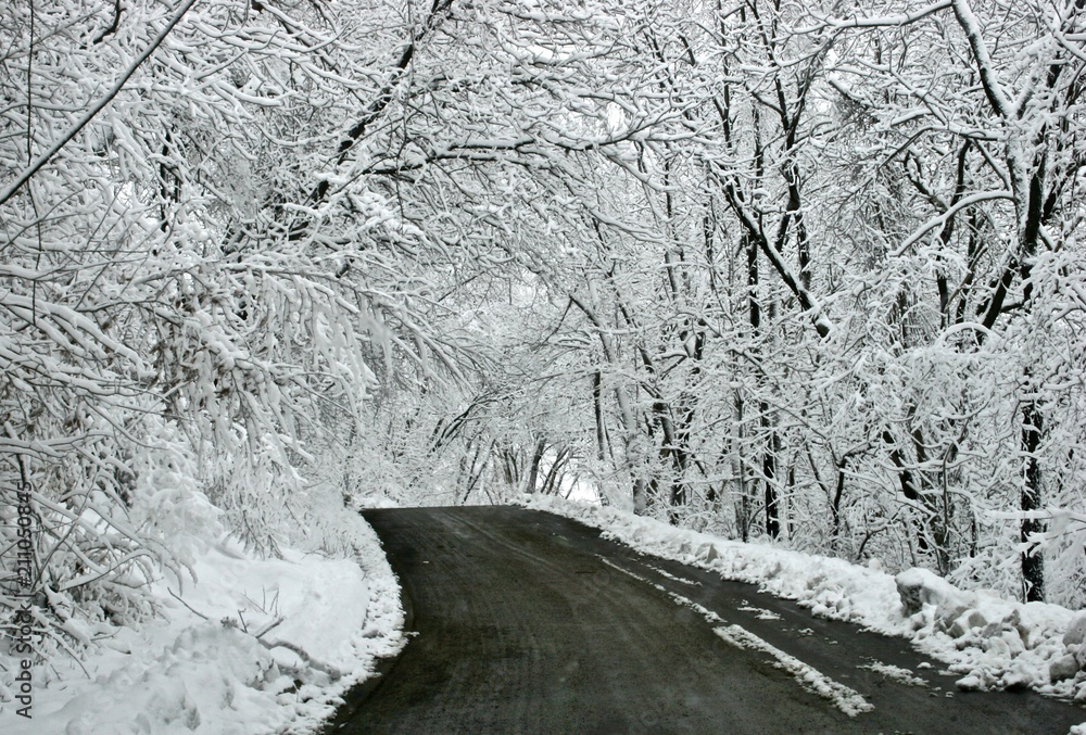 Snowy Road Curve Snowy Road Curve