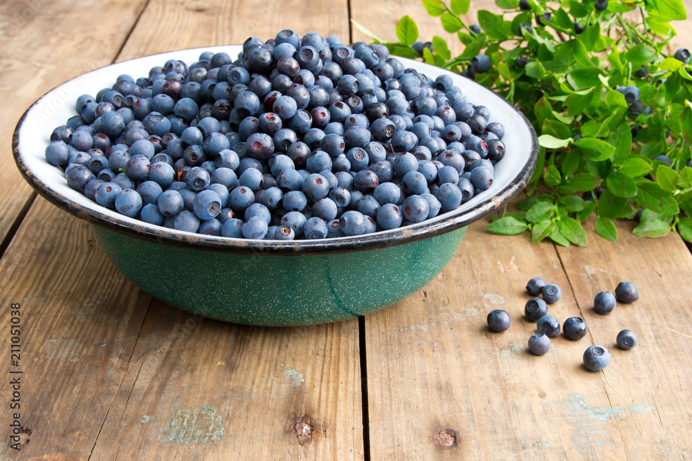 Fresh Bilberries from a bowl on old wooden table. Leaves with berries Bilberries on the Bush Fresh Bilberries from a bowl on old wooden table. Leaves with berries Bilberries on the Bush
