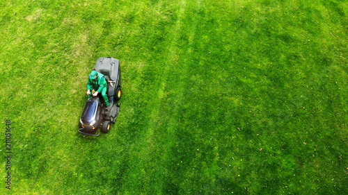 Gardener cuts lawn with a lawnmower