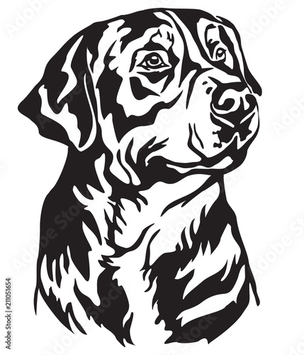 Decorative portrait of Greater Swiss Mountain Dog vector illustration