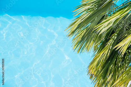 Palm tree branches on the tropical beach.palm leaves on blue water background. Palm leaves against a blue water waves. summer holiday season and palm sunday concept. Space for text