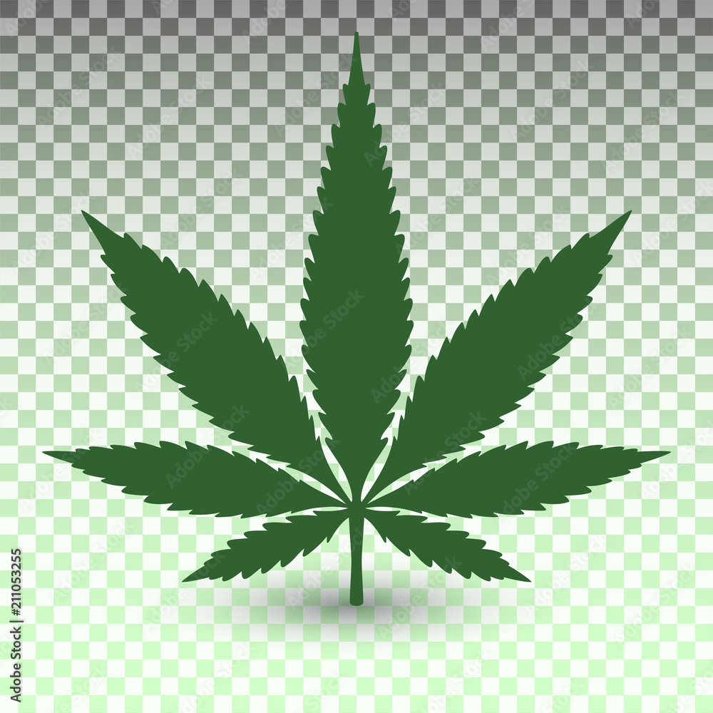 Marijuana leaf on transparent background - obrazy, fototapety, plakaty 