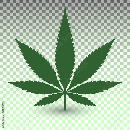 Marijuana leaf on transparent background