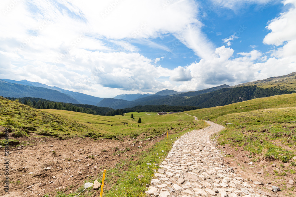 Panorama con strada di montagna