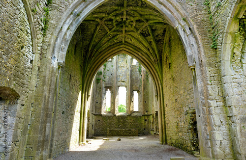 Hore Abbey, ruined Cistercian monastery near the Rock of Cashel, Ireland © MNStudio