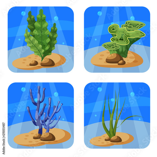 Set of colorful corals and algae on a blue background. Natural underwater vector illustration. Cartoon style, isolated