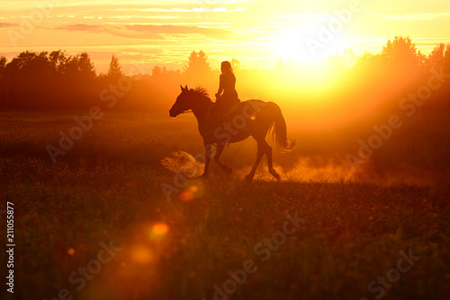 Horse and girl, silhouette on red colorful sunset. Sunny cowboy riding on galloping horse. Beautiful art background with horseback