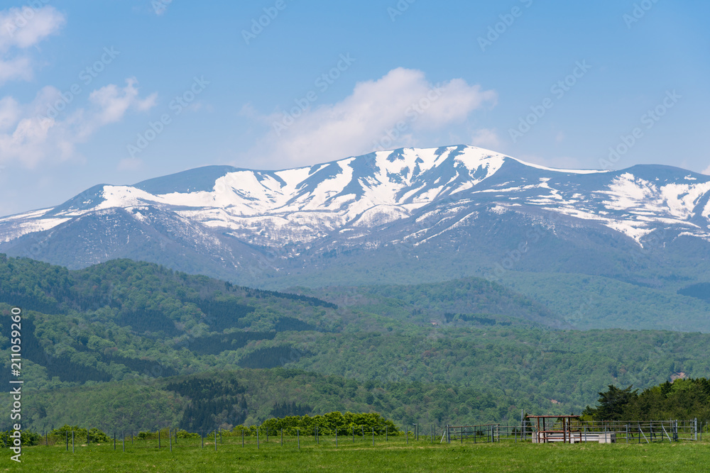 残雪の栗駒山と新緑に包まれた牧場 残雪の栗駒山と新緑に包まれた牧場
