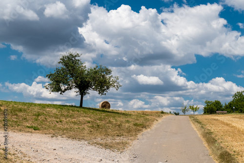 Heuernte photo