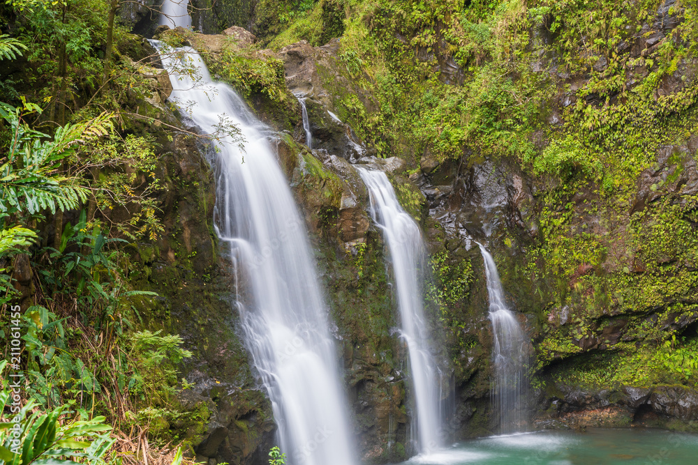 Scenic Tropical Maui Waterfall