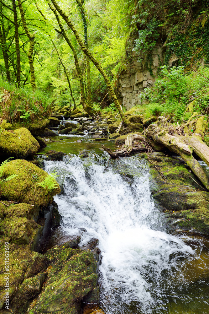 Small waterfalls near Torc Waterfall, one of most well known tourist attractions in Ireland, located in Killarney National Park, Ireland Small waterfalls near Torc Waterfall, one of most well known tourist attractions in Ireland, located in Killarney National Park, Ireland