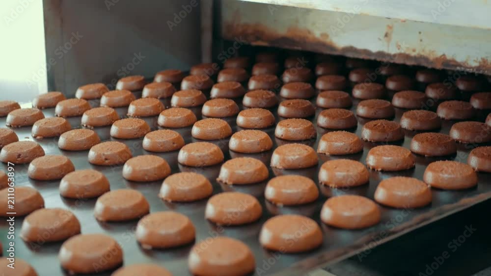 Cakes on automatic conveyor belt or line, process of baking in confectionery culinary factory or plant. Food industry, cookie and other sweet breadstuff production. Close up Cakes on automatic conveyor belt or line, process of baking in confectionery culinary factory or plant. Food industry, cookie and other sweet breadstuff production. Close up