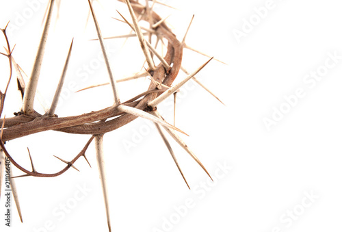 crown of thorns and cross © arybickii