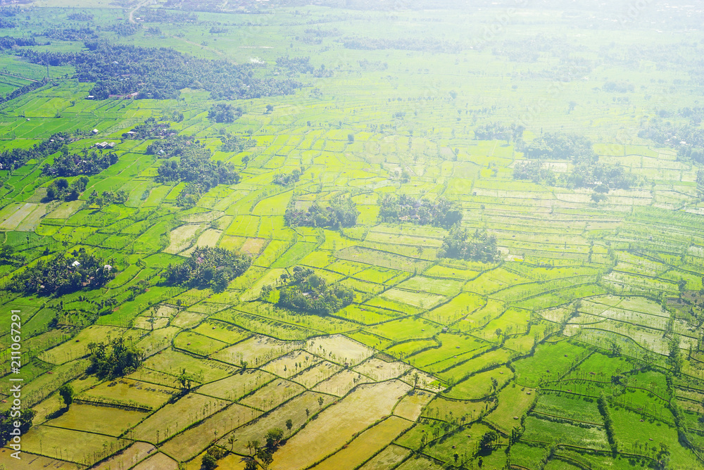 Aerial view of beautiful green paddy field at Lombok, Indonesia.