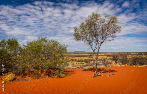 Australian outback near mount Conner in the northern territory.