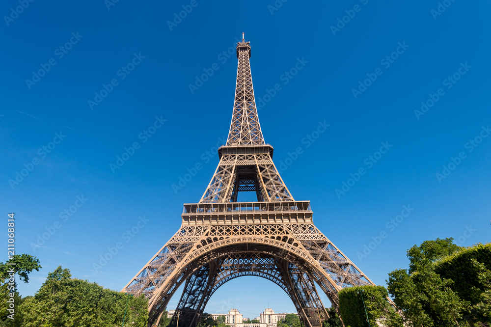 Eiffel Tower from the Champ de Mars gardens in summer (Paris, France)