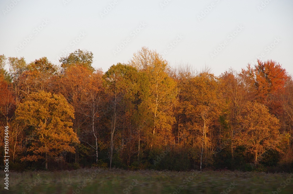AUTUM COLORS AUTUM COLORS