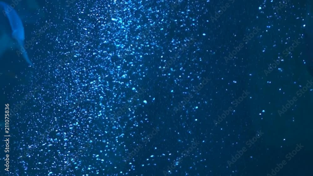 Slow Motion Underwater Bubbles Rising In Sea 120fps Slow Motion Underwater Bubbles Rising In Sea 120fps