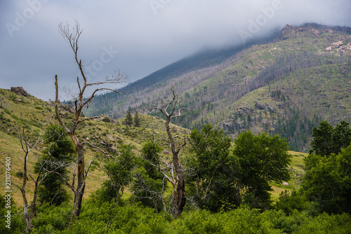 Clouds shroud a distant mountain as seen from a green Rocky Mountain valley