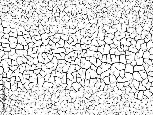The cracks texture white and black. Vector background.Cracked earth. Structure of cracking. Cracks in dry surface soil texture.