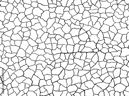 The cracks texture white and black. Vector background.Cracked earth. Structure of cracking. Cracks in dry surface soil texture.