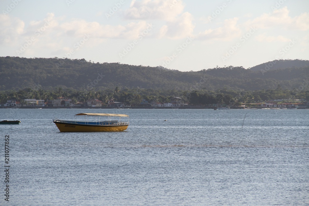 Obraz premium BARCO TIPO SAVEIRO