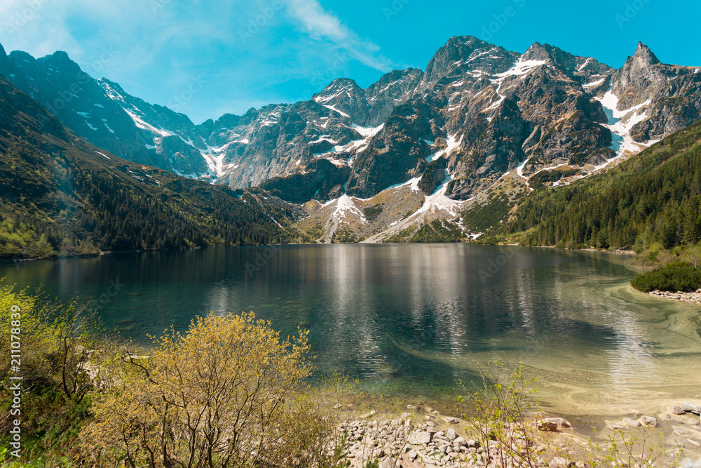 Lake somewhere between forest and mountain