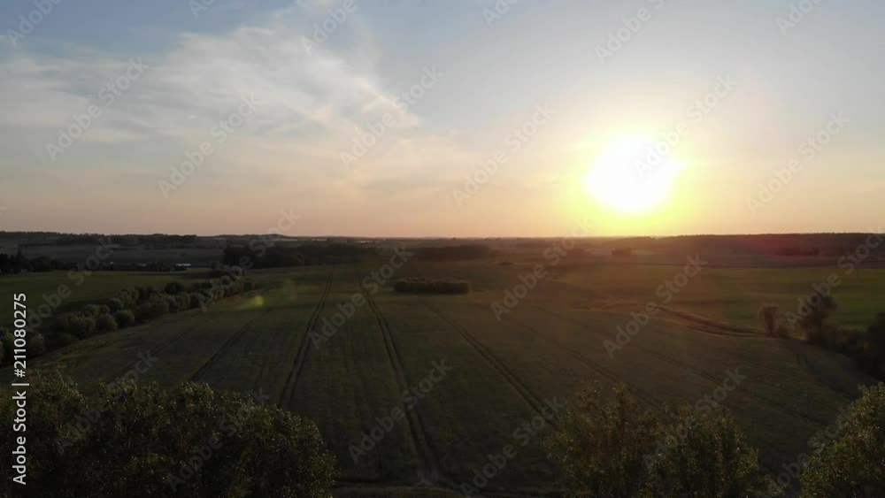 aerial view. flight sideways, flight over green and yellow wheat rural field at sunset, Mecklenburg-Vorpommern, Germany aerial view. flight sideways, flight over green and yellow wheat rural field at sunset, Mecklenburg-Vorpommern, Germany