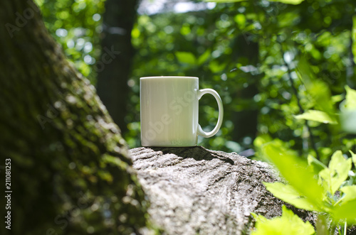 A blank coffee mug on the forest tree branches under the summer sun. 