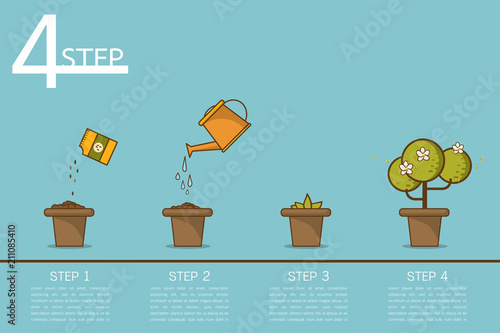 Plant growing step vector illustration