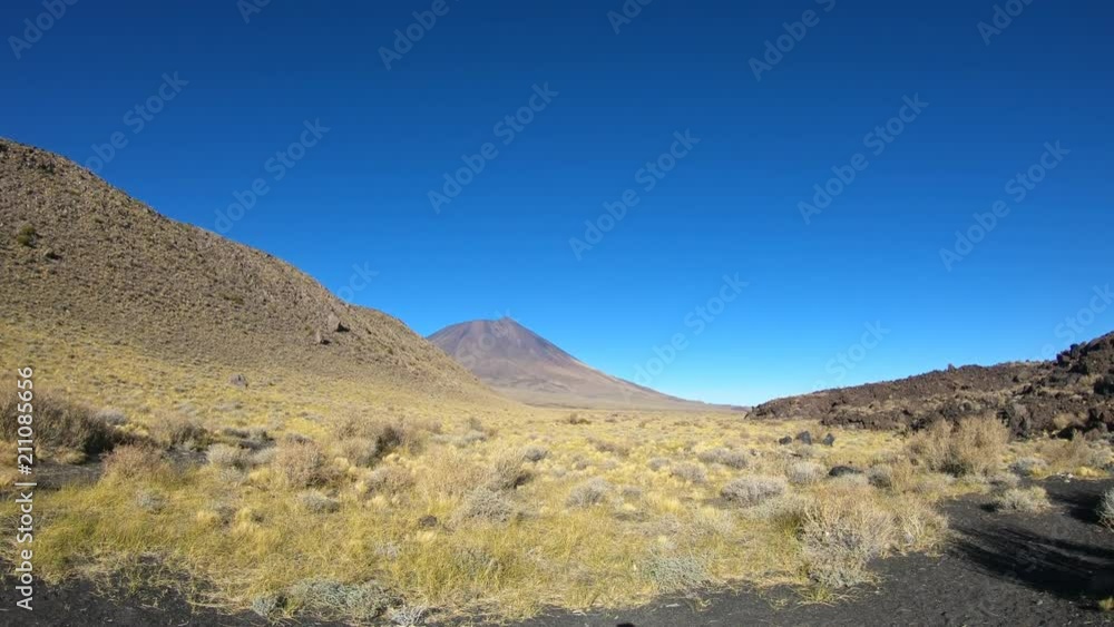 Stabilized camera movement going sideways on La Payunia National Park, at Malargüe, Cuyo, Mendoza, Argentina. Payun Liso volcano on background and trails of lava on the right. Golden grasses. Stabilized camera movement going sideways on La Payunia National Park, at Malargüe, Cuyo, Mendoza, Argentina. Payun Liso volcano on background and trails of lava on the right. Golden grasses.