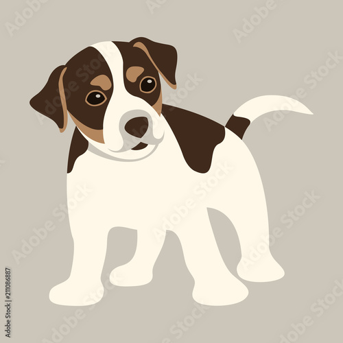 terrier puppy  vector illustration   flat style front 