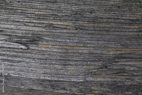 detail of cut wood, horizontal ring rings, grey wood shrouded by weather